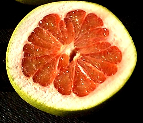 Pomelo (back), Oroblancos (sides), mandarins (front)